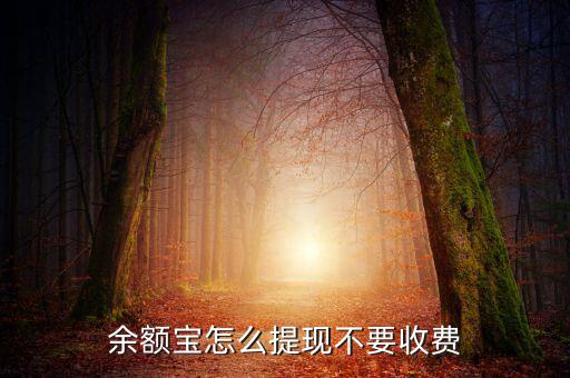 阿里巴巴余額寶怎么用,余額寶怎么提現不要收費
