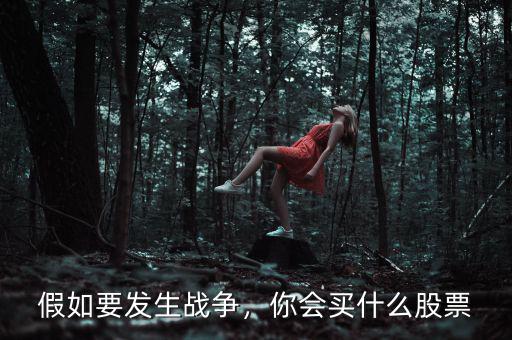 假如要發(fā)生戰(zhàn)爭，你會買什么股票