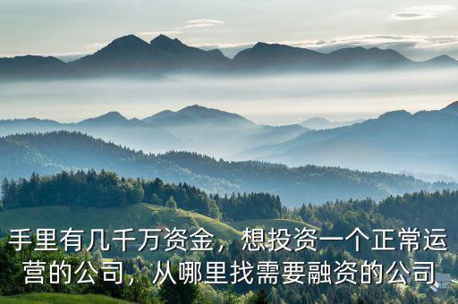 手里有幾千萬資金，想投資一個正常運營的公司，從哪里找需要融資的公司