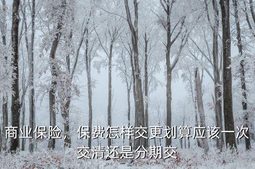 商業(yè)保險(xiǎn)，保費(fèi)怎樣交更劃算應(yīng)該一次交清還是分期交