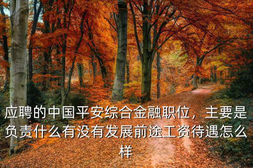 應(yīng)聘的中國平安綜合金融職位，主要是負責(zé)什么有沒有發(fā)展前途工資待遇怎么樣