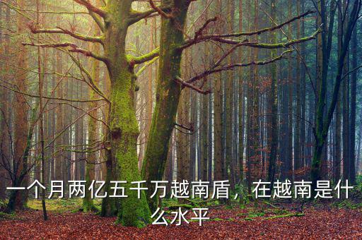 一個月兩億五千萬越南盾，在越南是什么水平