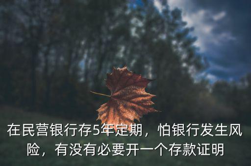 在民營銀行存5年定期，怕銀行發(fā)生風(fēng)險，有沒有必要開一個存款證明