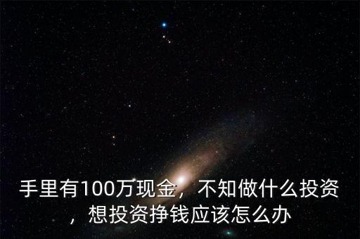 手里有100萬現(xiàn)金，不知做什么投資，想投資掙錢應(yīng)該怎么辦