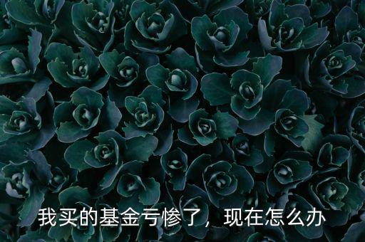 我買的基金虧慘了，現(xiàn)在怎么辦
