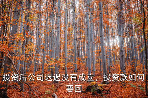 投資后公司遲遲沒有成立，投資款如何要回