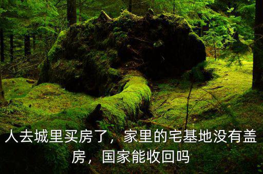 人去城里買房了，家里的宅基地沒(méi)有蓋房，國(guó)家能收回嗎