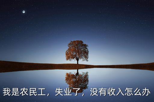 我是農(nóng)民工，失業(yè)了，沒有收入怎么辦