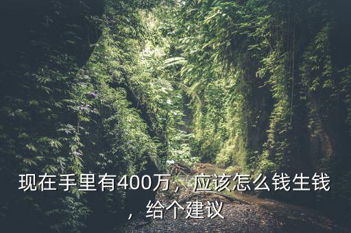 現(xiàn)在手里有400萬，應(yīng)該怎么錢生錢，給個建議
