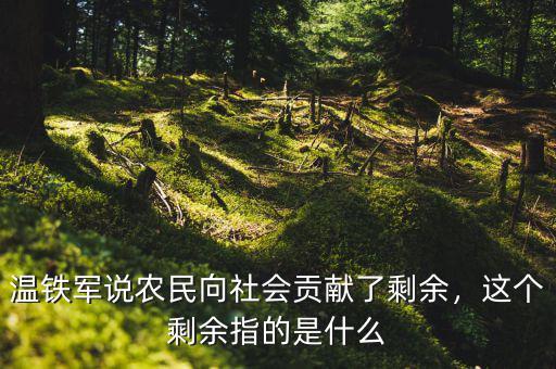 溫鐵軍說農(nóng)民向社會貢獻(xiàn)了剩余，這個剩余指的是什么