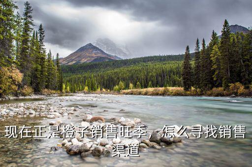 現(xiàn)在正是橙子銷售旺季，怎么尋找銷售渠道