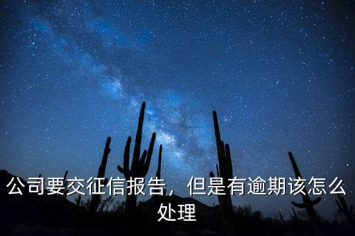 公司要交征信報(bào)告，但是有逾期該怎么處理