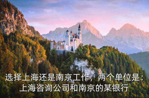 選擇上海還是南京工作，兩個單位是：上海咨詢公司和南京的某銀行