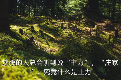 炒股的人總會(huì)聽到說“主力”，“莊家”，究竟什么是主力