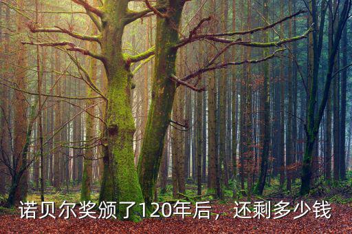 諾貝爾獎(jiǎng)?lì)C了120年后，還剩多少錢(qián)