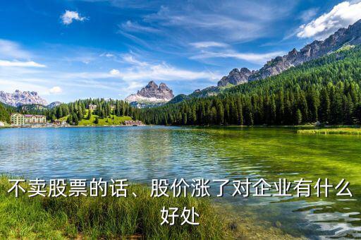 不賣股票的話、股價漲了對企業(yè)有什么好處
