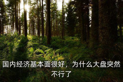 國內(nèi)經(jīng)濟(jì)基本面很好，為什么大盤突然不行了