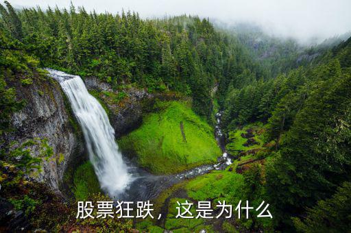 股票狂跌，這是為什么