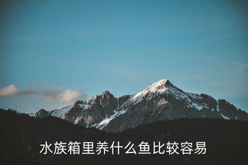 水族箱里養(yǎng)什么魚(yú)比較容易