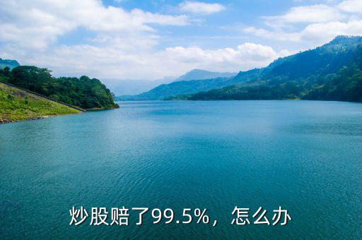 炒股賠了99.5%，怎么辦