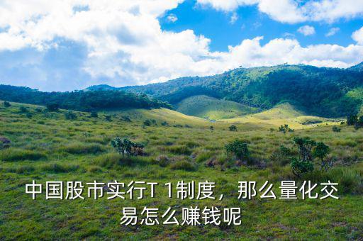 中國(guó)股市實(shí)行T 1制度，那么量化交易怎么賺錢(qián)呢