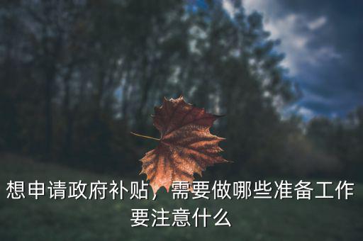 想申請(qǐng)政府補(bǔ)貼，需要做哪些準(zhǔn)備工作要注意什么