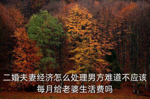 二婚夫妻經(jīng)濟怎么處理男方難道不應該每月給老婆生活費嗎