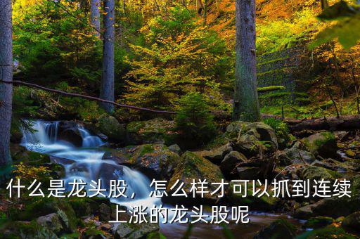 什么是龍頭股，怎么樣才可以抓到連續(xù)上漲的龍頭股呢