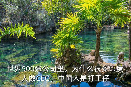 世界500強公司里，為什么很多印度人做CEO，中國人是打工仔