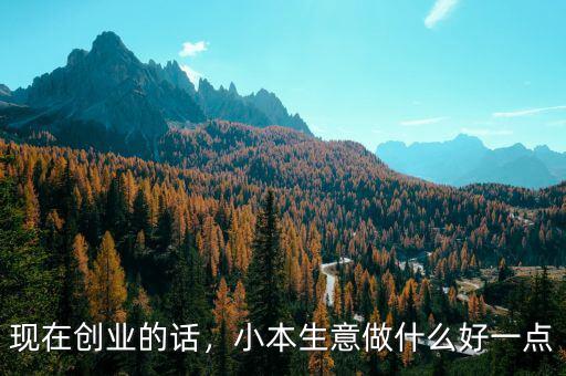 現(xiàn)在創(chuàng)業(yè)的話(huà)，小本生意做什么好一點(diǎn)