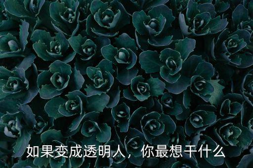 如果變成透明人，你最想干什么