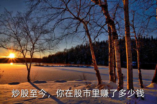 炒股至今，你在股市里賺了多少錢