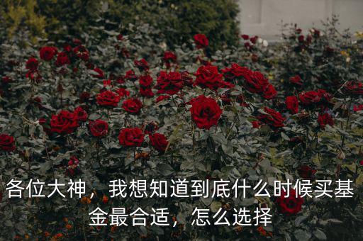 各位大神，我想知道到底什么時(shí)候買基金最合適，怎么選擇