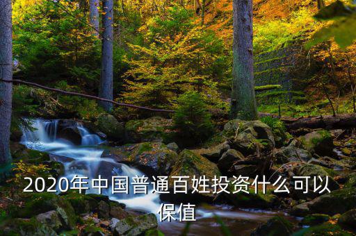 中國(guó)未來一百年投資什么最保值,什么資產(chǎn)最能保值