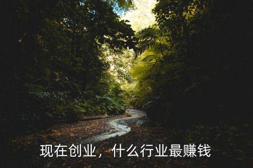 現(xiàn)在創(chuàng)業(yè)，什么行業(yè)最賺錢