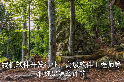 我們軟件開發(fā)行業(yè)，高級(jí)軟件工程師等職稱是怎么評(píng)的
