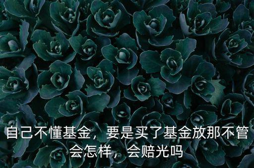自己不懂基金，要是買了基金放那不管會怎樣，會賠光嗎