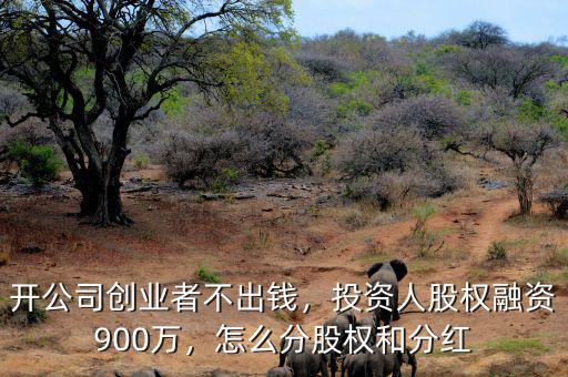 開公司創(chuàng)業(yè)者不出錢，投資人股權(quán)融資900萬，怎么分股權(quán)和分紅