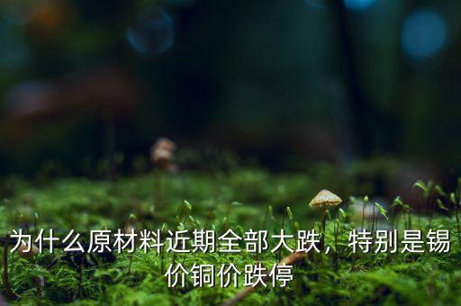 為什么原材料近期全部大跌，特別是錫價銅價跌停