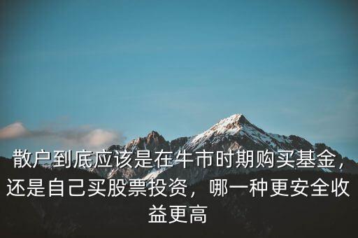 散戶到底應該是在牛市時期購買基金，還是自己買股票投資，哪一種更安全收益更高