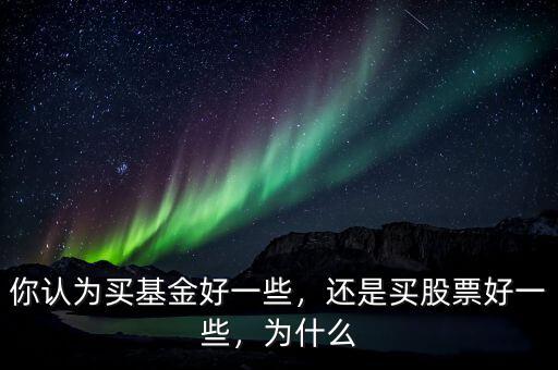 你認為買基金好一些，還是買股票好一些，為什么