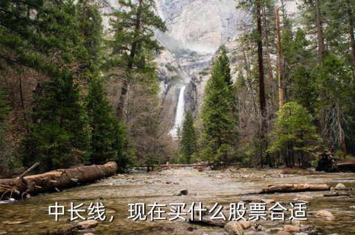 中長(zhǎng)線(xiàn)，現(xiàn)在買(mǎi)什么股票合適