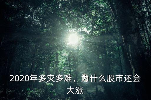 2020年多災多難，為什么股市還會大漲