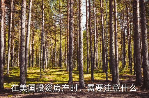 在美國(guó)投資房產(chǎn)時(shí)，需要注意什么