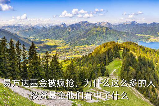 易方達(dá)基金被瘋搶，為什么這么多的人投資基金他們看中了什么