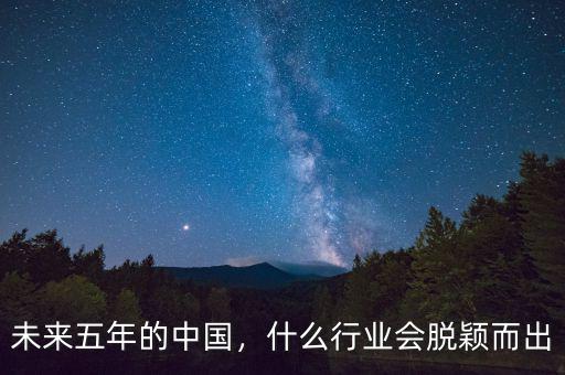 未來的中國(guó)會(huì)是什么樣,未來五年的中國(guó)