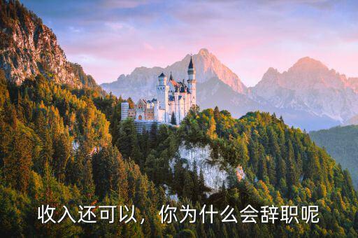 收入還可以，你為什么會(huì)辭職呢