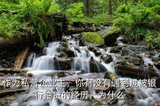 作為私營企業(yè)主，你有沒有遇到過被銀行抽貸的經(jīng)歷，為什么