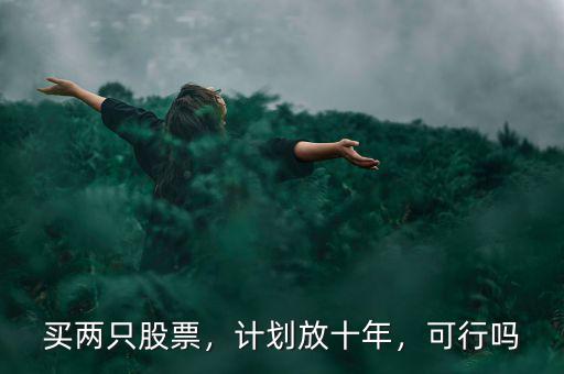 買兩只股票，計(jì)劃放十年，可行嗎
