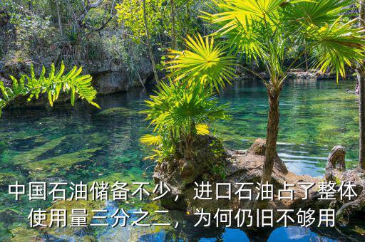 中國石油儲(chǔ)備不少，進(jìn)口石油占了整體使用量三分之二，為何仍舊不夠用